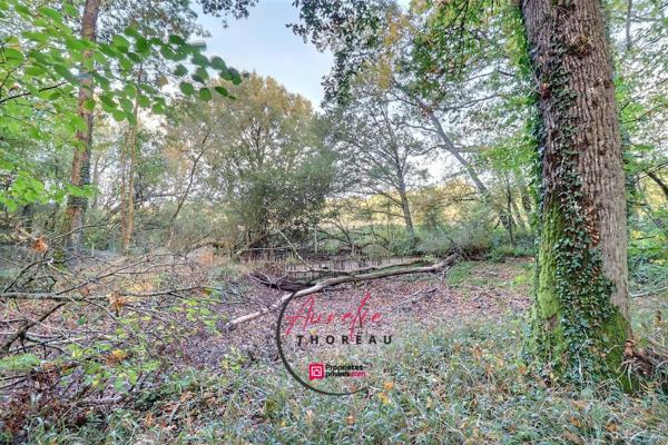 Terrain de loisirs boisé à Fay Aux Loges