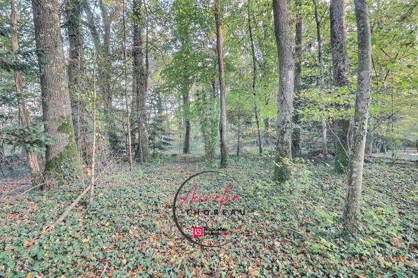 Terrain de loisirs boisé à Fay Aux Loges