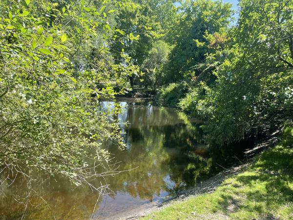 Braye-sous-Faye (37120) TERRAIN DE LOISIR