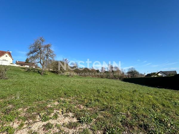 Terrain à bâtir de 1232m² non viabilisé à vendre sur la commune de Valençay (Indre 36)