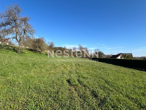 Terrain à bâtir de 1232m² non viabilisé à vendre sur la commune de Valençay (Indre 36)