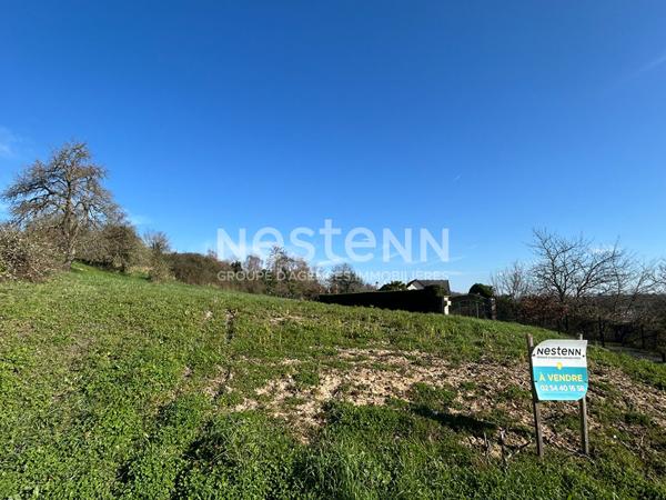 Terrain à bâtir de 1232m² non viabilisé à vendre sur la commune de Valençay (Indre 36)