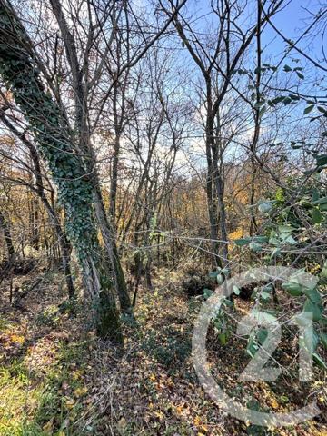 Terrain à vendre  16050 m2 VENERQUE - 31