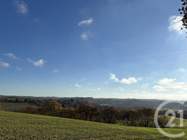 Terrain à vendre  16050 m2 VENERQUE - 31