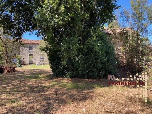 Ensemble de bâtiments en pierre à rénover à AZAY-SUR-THOUET