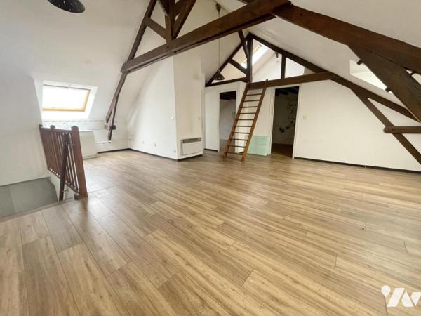 appartement 3 pièces style loft