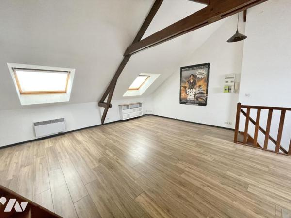 appartement 3 pièces style loft