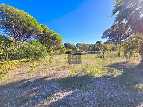 Magnifique villa avec 9400m2 de terrain