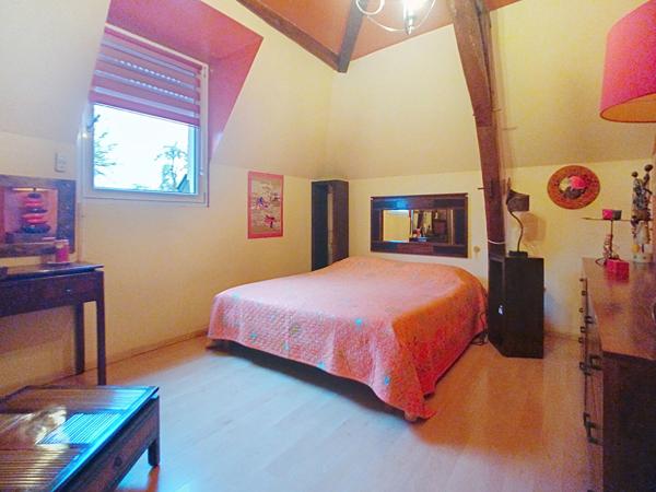 Maison ancienne à vendre sur les bords de Loire aux Ponts de Cé - 3 chambres, beau terrain avec piscine