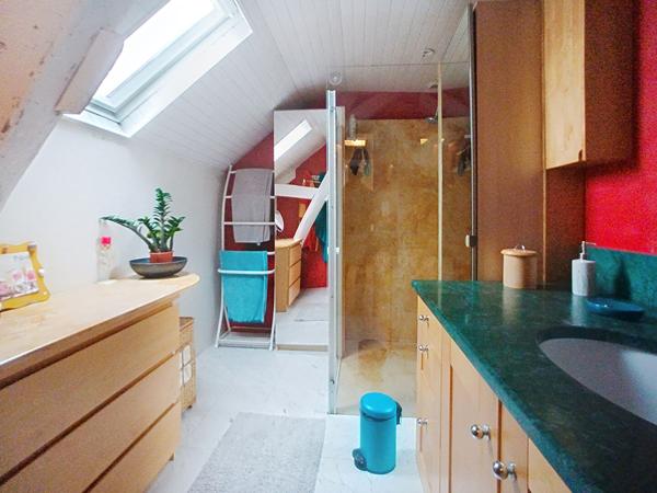 Maison ancienne à vendre sur les bords de Loire aux Ponts de Cé - 3 chambres, beau terrain avec piscine