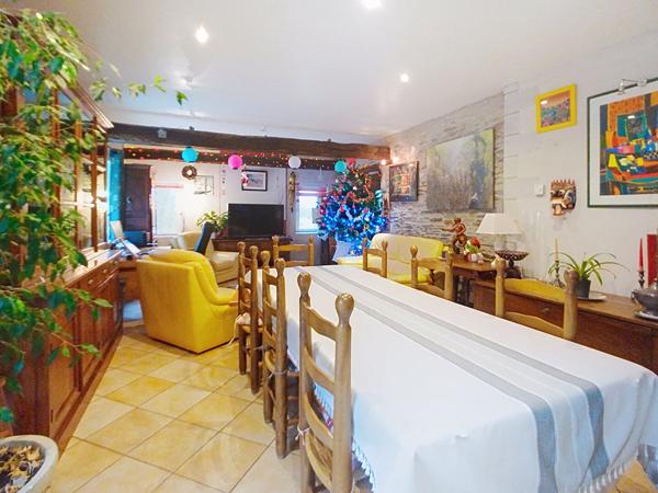 Maison ancienne à vendre sur les bords de Loire aux Ponts de Cé - 3 chambres, beau terrain avec piscine