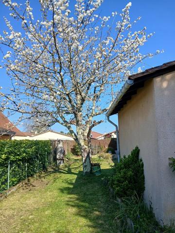 Immobilier Bergerac (24100) – Maison 105m2 – 210 000 €