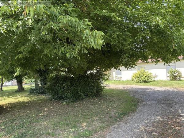 Vente                                                      Maison
                        
                     6 pièces                      148 m2                     à Marmande