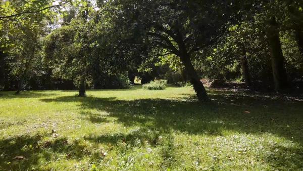 Magnifque Maison Atypique aux portes d'Epernon