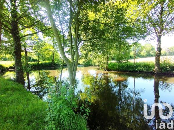 Longère 6 pièces de 185 m² à Cossé-le-Vivien (53230)