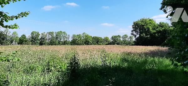Maison 3 niveaux, 8 pièces
Garage, grange
Terrain