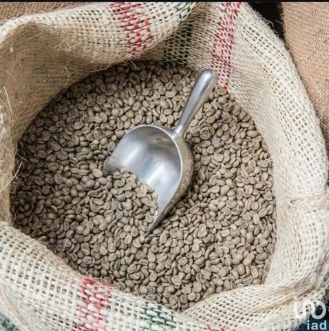 Salon de thé à vendre 60 m² Rivedoux-Plage