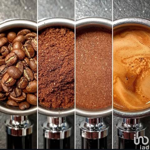 Salon de thé à vendre 60 m² Rivedoux-Plage