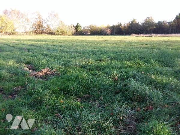 PROPRIETE AVEC UN GITE INDEPENDANT SUR 5 HA DE TERRAIN AVEC UNE MARE