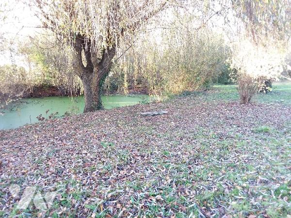 PROPRIETE AVEC UN GITE INDEPENDANT SUR 5 HA DE TERRAIN AVEC UNE MARE