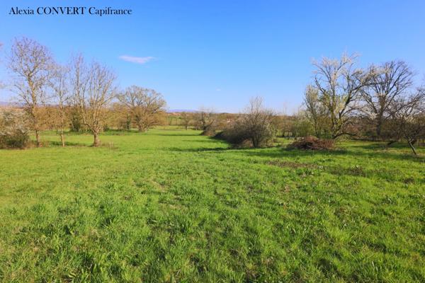 Terrain à vendre 4045m² proximité centre du village de FOISSIAT (01)