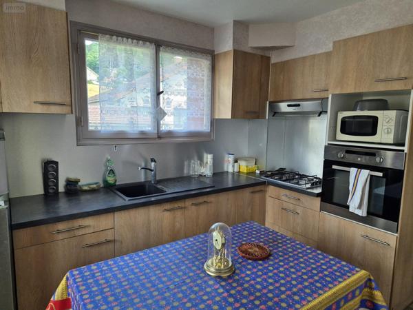 Maison individuelle à vendre à Rupt-sur-Moselle dans les Vosges (88360), ref : 1201/0825-88038