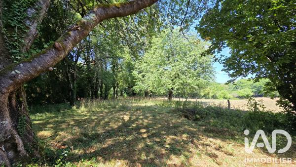 Maison à vendre 4 pièces 140 m² Saint-Denis-des-Murs