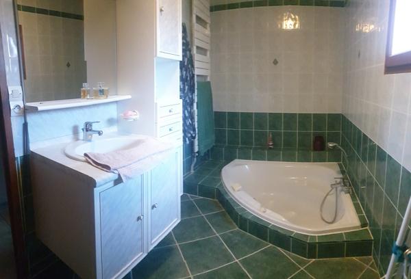 Belle propriété de 450 m² avec piscine intérieure au calme Lyon (69006)