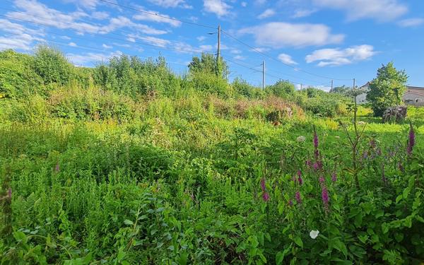 Terrain à vendre    Neufchâtel-Hardelot