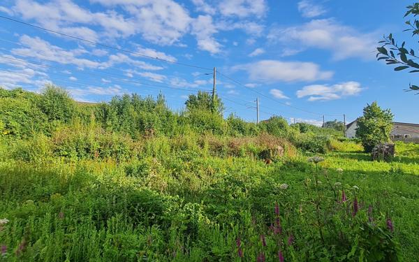 Terrain à vendre    Neufchâtel-Hardelot