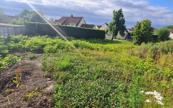 Terrain à vendre    Neufchâtel-Hardelot