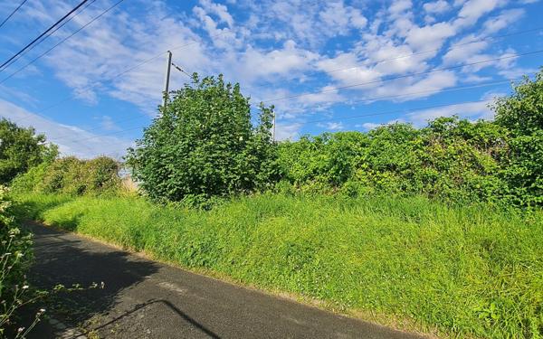Terrain à vendre    Neufchâtel-Hardelot