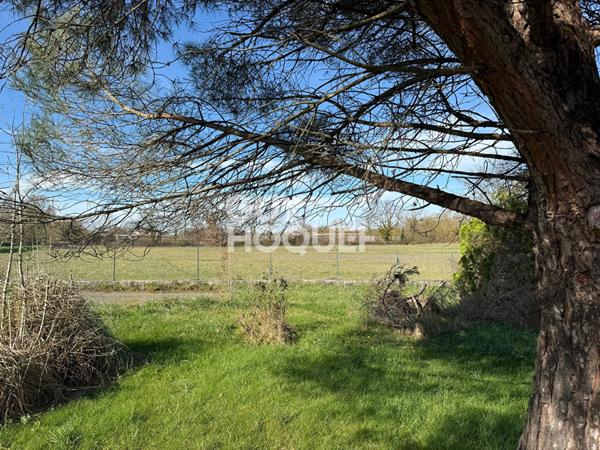 Maison Villemur Sur Tarn 6 pièce(s)