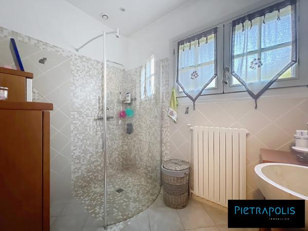 MAISON FAMILIALE DE CARACTERE - GRANDE PISCINE - SOUS SOL COMPLET - TERRAIN DE 1845m2 ARBORE ET CLOTURE