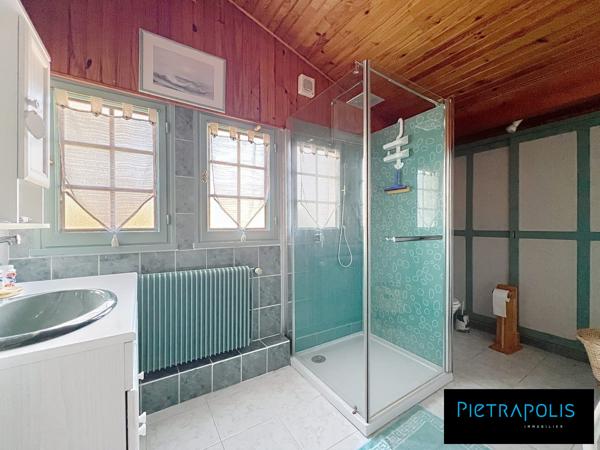 MAISON FAMILIALE DE CARACTERE - GRANDE PISCINE - SOUS SOL COMPLET - TERRAIN DE 1845m2 ARBORE ET CLOTURE