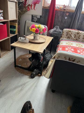 28130 MAINTENON plain pied 26 m2 terrain 990 m2