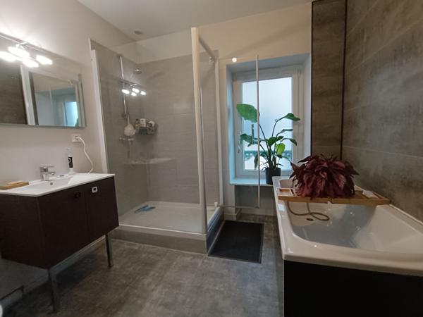 Local commercial La Haie Fouassiere 240 m2