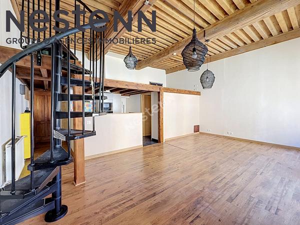 Canut - Loft - Rue du mail - Calme - Traversant - Plateau Croix-Rousse