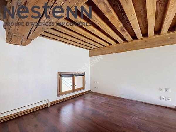Canut - Loft - Rue du mail - Calme - Traversant - Plateau Croix-Rousse