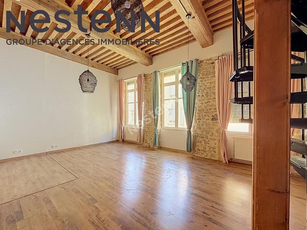Canut - Loft - Rue du mail - Calme - Traversant - Plateau Croix-Rousse