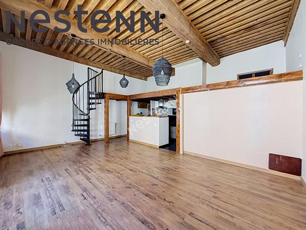 Canut - Loft - Rue du mail - Calme - Traversant - Plateau Croix-Rousse