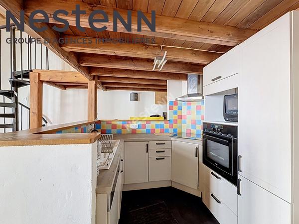 Canut - Loft - Rue du mail - Calme - Traversant - Plateau Croix-Rousse