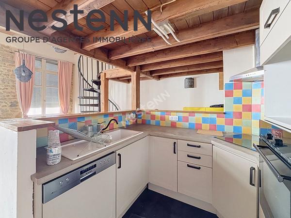 Canut - Loft - Rue du mail - Calme - Traversant - Plateau Croix-Rousse