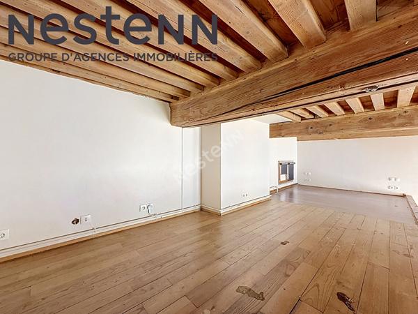 Canut - Loft - Rue du mail - Calme - Traversant - Plateau Croix-Rousse
