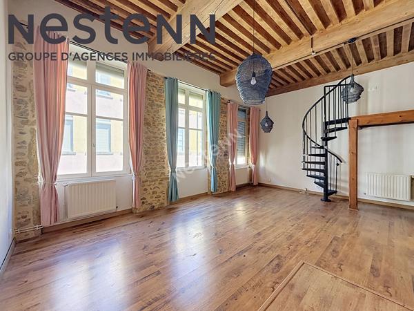 Canut - Loft - Rue du mail - Calme - Traversant - Plateau Croix-Rousse