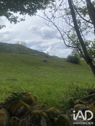 Terrain à vendre 8 020 m² Campan