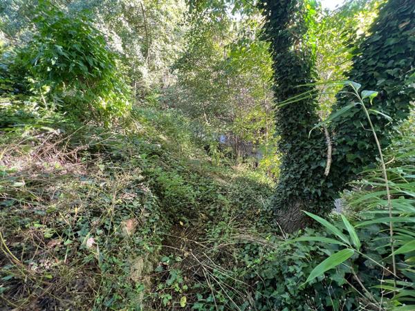 Pavillon plain-pied - 65m²