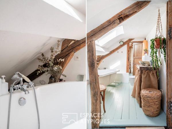 Duplex de charme sous les toits à Bastille