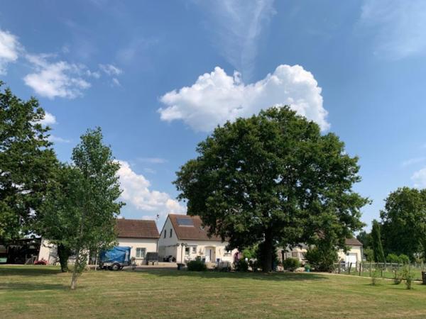 Maison moderne avec dépendances