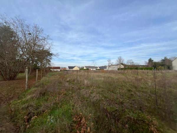 EXCLUSIVITÉ - LES MONTILS